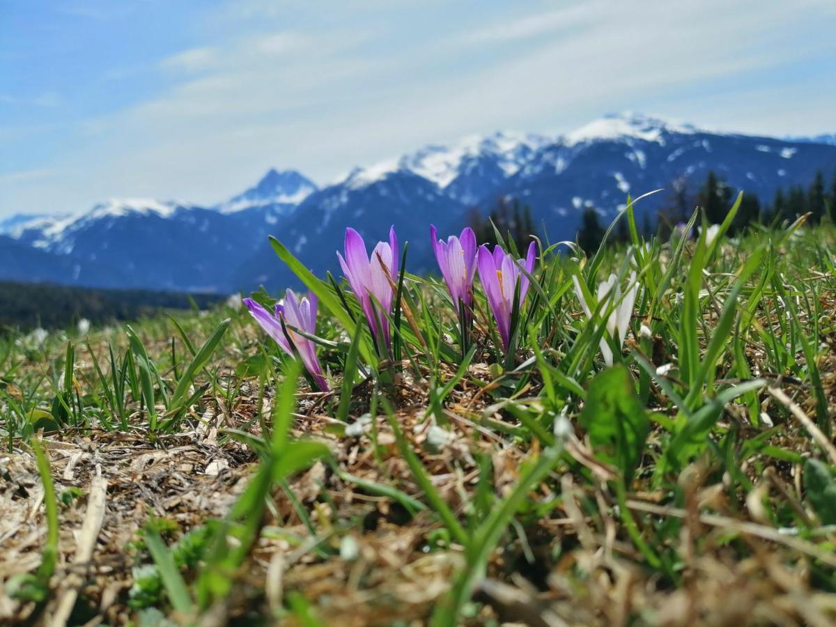 Oberhauser Huette Rodenecker - Luesner Alm Luson Exterior foto